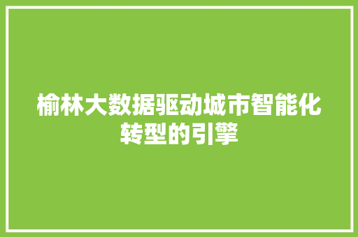 榆林大数据驱动城市智能化转型的引擎