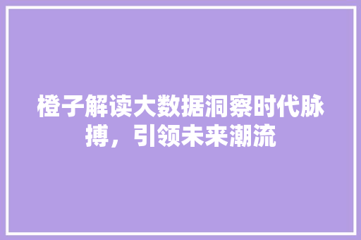 橙子解读大数据洞察时代脉搏，引领未来潮流