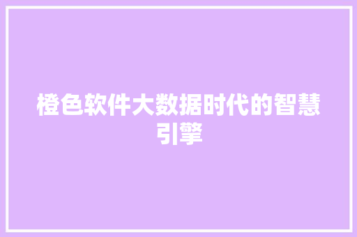 橙色软件大数据时代的智慧引擎