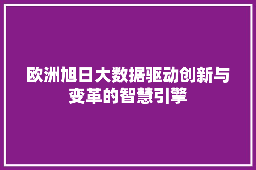 欧洲旭日大数据驱动创新与变革的智慧引擎