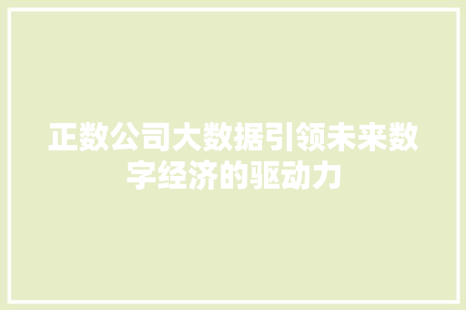 正数公司大数据引领未来数字经济的驱动力  第1张