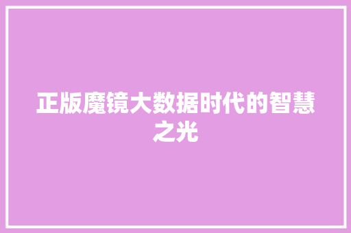 正版魔镜大数据时代的智慧之光  第1张