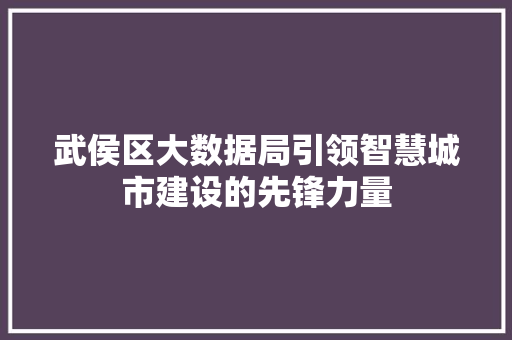 武侯区大数据局引领智慧城市建设的先锋力量