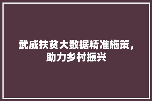 武威扶贫大数据精准施策，助力乡村振兴