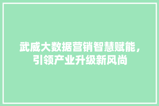 武威大数据营销智慧赋能，引领产业升级新风尚