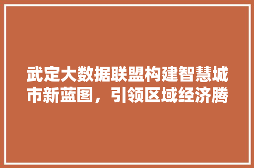 武定大数据联盟构建智慧城市新蓝图，引领区域经济腾飞  第1张