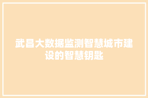 武昌大数据监测智慧城市建设的智慧钥匙  第1张