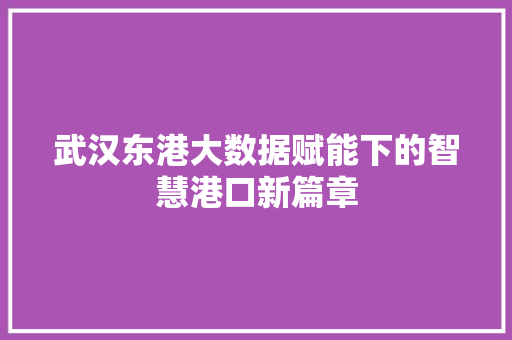 武汉东港大数据赋能下的智慧港口新篇章