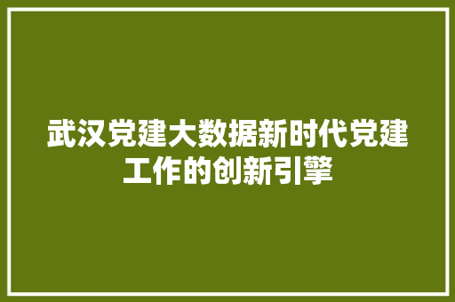 武汉党建大数据新时代党建工作的创新引擎