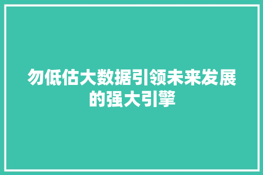 勿低估大数据引领未来发展的强大引擎