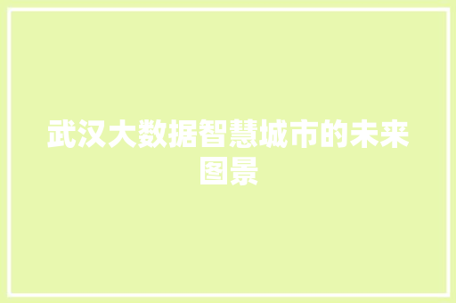 武汉大数据智慧城市的未来图景