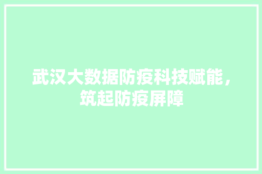 武汉大数据防疫科技赋能，筑起防疫屏障  第1张