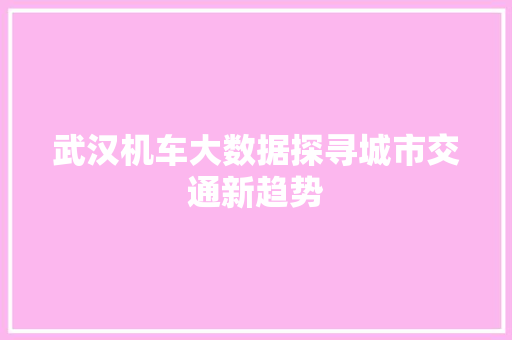 武汉机车大数据探寻城市交通新趋势