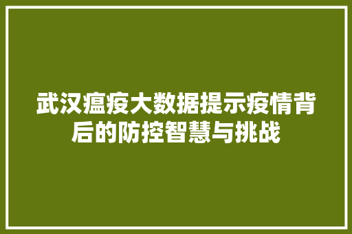 武汉瘟疫大数据提示疫情背后的防控智慧与挑战