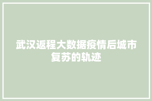武汉返程大数据疫情后城市复苏的轨迹
