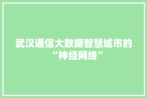武汉通信大数据智慧城市的“神经网络”  第1张