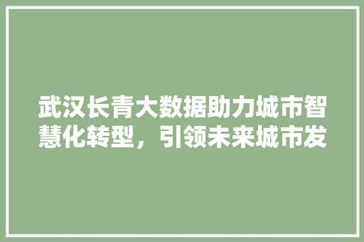 武汉长青大数据助力城市智慧化转型，引领未来城市发展新方向