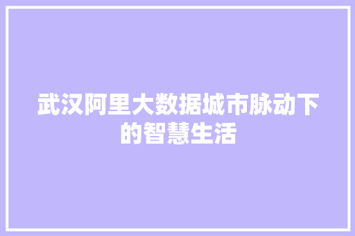 武汉阿里大数据城市脉动下的智慧生活
