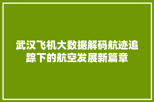 武汉飞机大数据解码航迹追踪下的航空发展新篇章