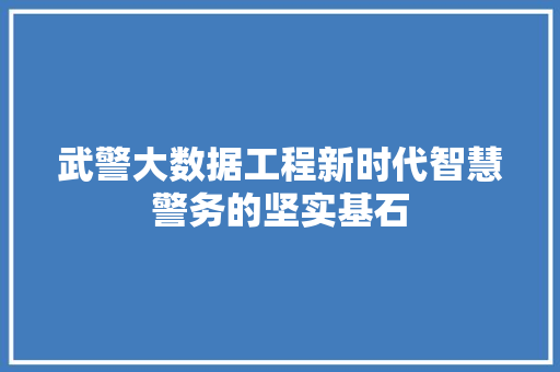 武警大数据工程新时代智慧警务的坚实基石  第1张
