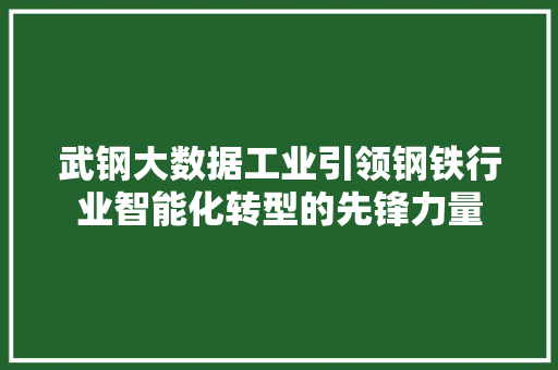 武钢大数据工业引领钢铁行业智能化转型的先锋力量