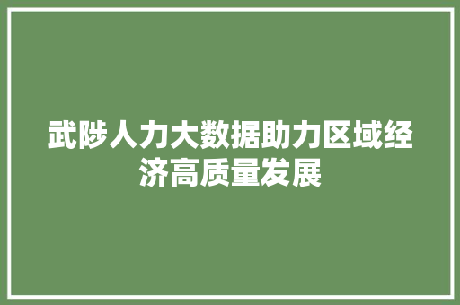 武陟人力大数据助力区域经济高质量发展  第1张