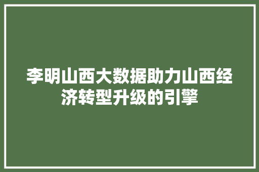 李明山西大数据助力山西经济转型升级的引擎