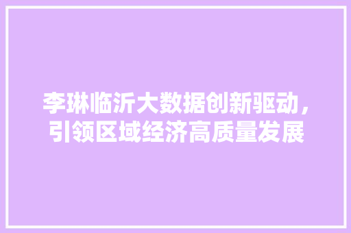 李琳临沂大数据创新驱动，引领区域经济高质量发展
