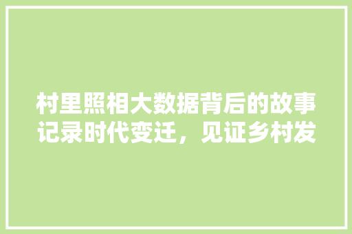 村里照相大数据背后的故事记录时代变迁，见证乡村发展  第1张