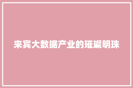 来宾大数据产业的璀璨明珠