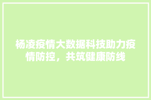 杨凌疫情大数据科技助力疫情防控，共筑健康防线  第1张