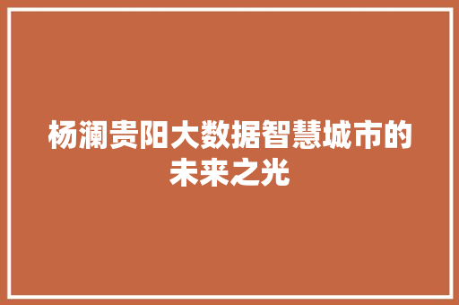 杨澜贵阳大数据智慧城市的未来之光  第1张