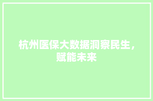杭州医保大数据洞察民生，赋能未来