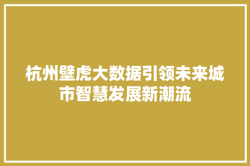 杭州壁虎大数据引领未来城市智慧发展新潮流  第1张