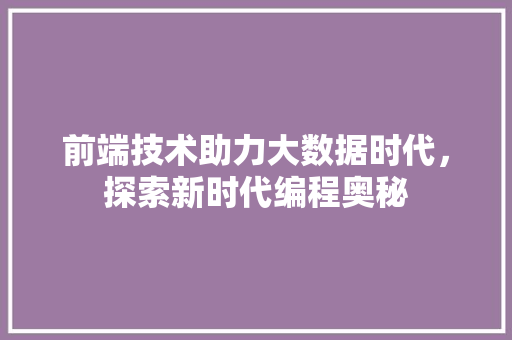 前端技术助力大数据时代，探索新时代编程奥秘  第1张