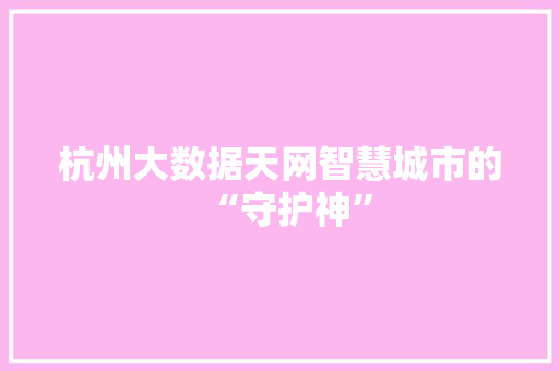 杭州大数据天网智慧城市的“守护神”  第1张