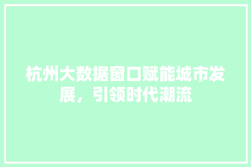 杭州大数据窗口赋能城市发展，引领时代潮流  第1张