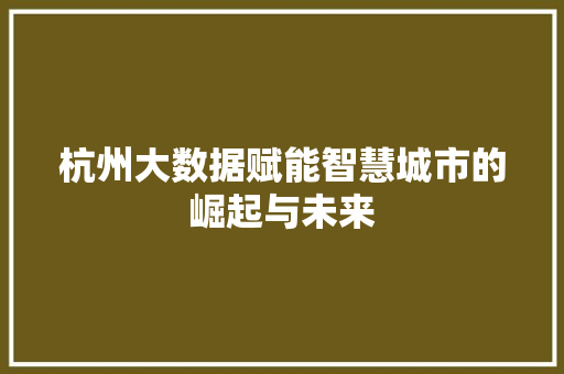 杭州大数据赋能智慧城市的崛起与未来  第1张