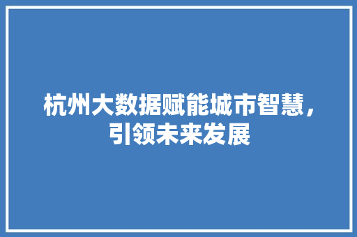 杭州大数据赋能城市智慧，引领未来发展  第1张