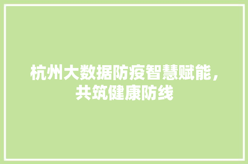 杭州大数据防疫智慧赋能，共筑健康防线