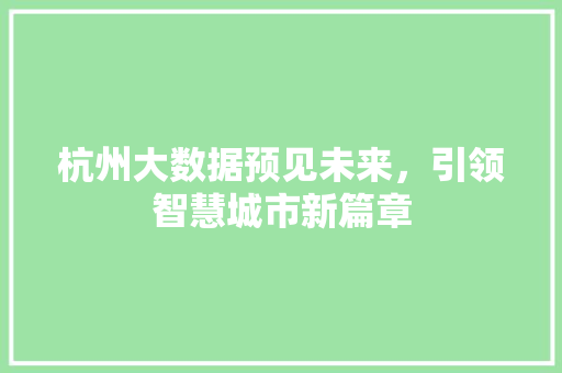 杭州大数据预见未来，引领智慧城市新篇章  第1张
