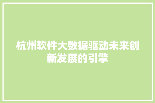 杭州软件大数据驱动未来创新发展的引擎  第1张
