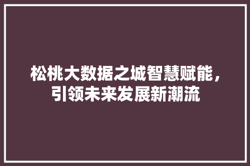 松桃大数据之城智慧赋能，引领未来发展新潮流  第1张