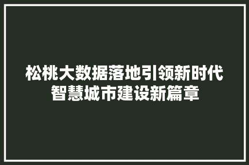 松桃大数据落地引领新时代智慧城市建设新篇章  第1张