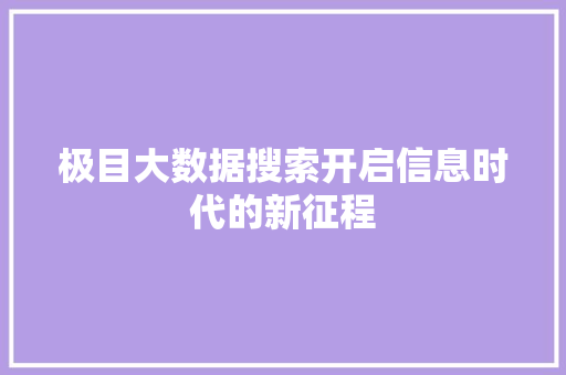 极目大数据搜索开启信息时代的新征程