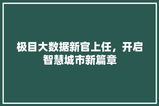 极目大数据新官上任，开启智慧城市新篇章  第1张