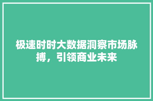 极速时时大数据洞察市场脉搏，引领商业未来  第1张