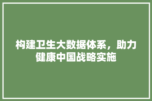 构建卫生大数据体系，助力健康中国战略实施