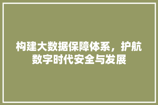 构建大数据保障体系，护航数字时代安全与发展