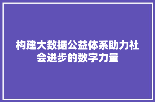 构建大数据公益体系助力社会进步的数字力量